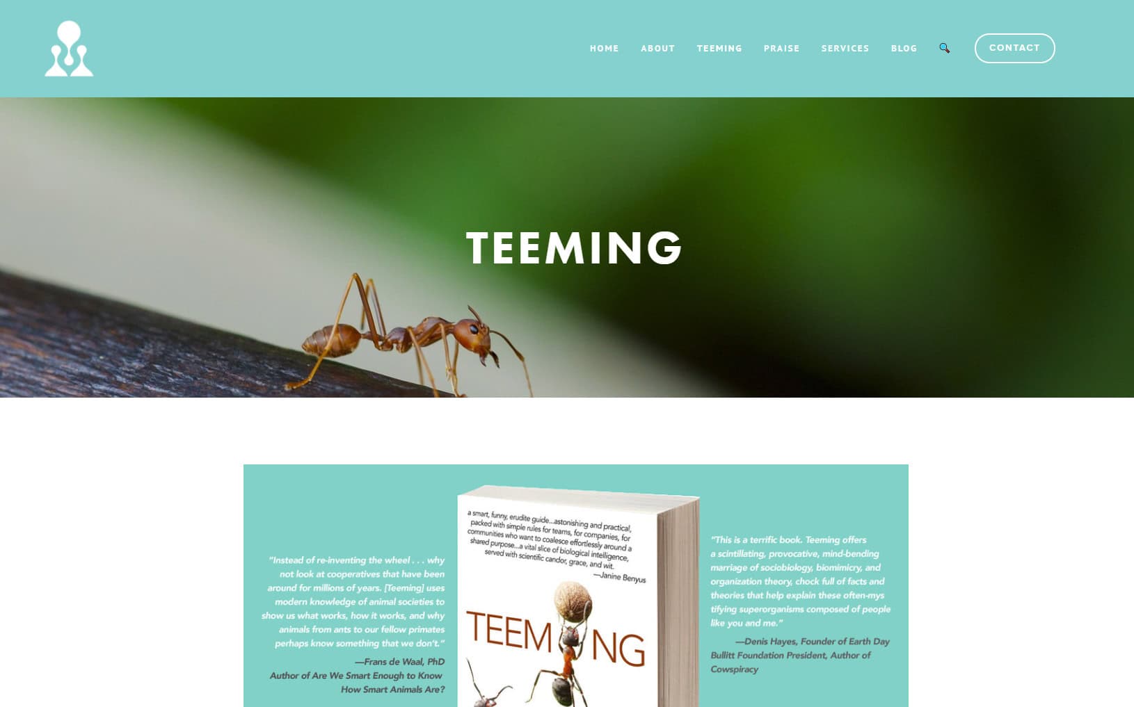 TEEMING Website