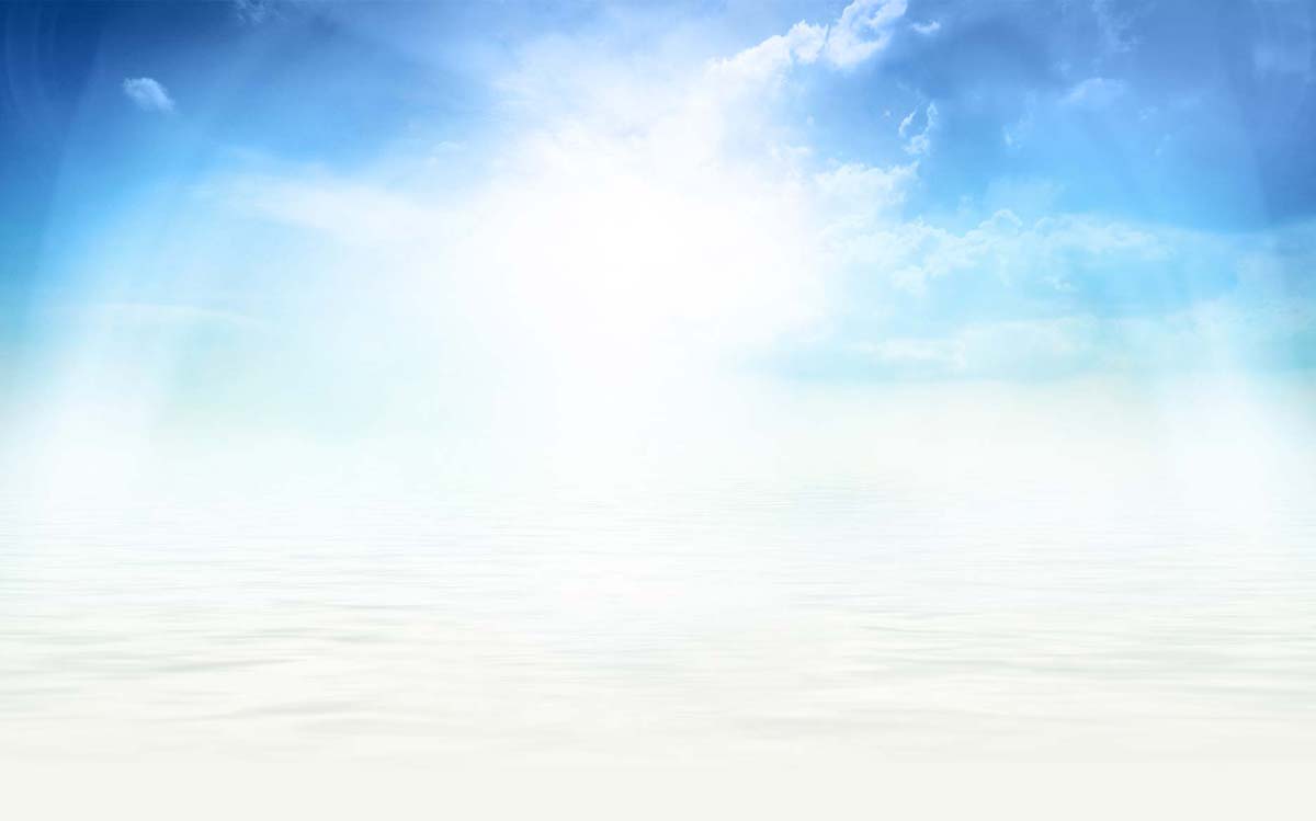Soaring Heron’s Website Background