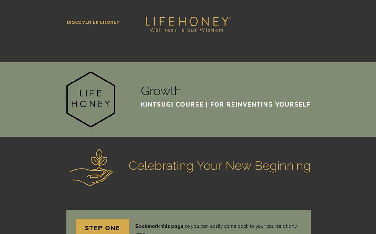Online Course Development Portfolio Example